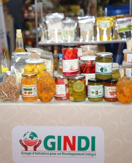 WhatsApp Image 2024-12-13 at 15.37.31 (3)